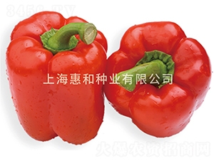 ��˹�_(d��)-�𽷷N��-�ݺͷN�I(y��)