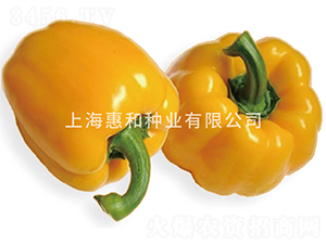 �P����̖-�𽷷N��-�ݺͷN�I(y��)