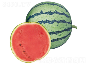 ��Ȼ-���ϷN��-ɽ�|��Դ