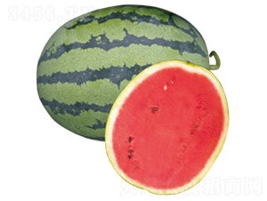 �É�һ̖-���ϷN��-ɽ�|��Դ