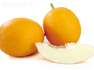 ���L(f��ng)��̖-��ϷN��-ɽ�|��Դ