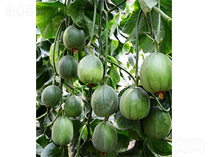 �G��һ̖-��ϷN��-ɽ�|��Դ