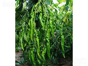 �G�]��-�����N��-ɽ�|��Դ