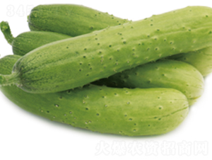 �G��2̖-�S�ϷN��-ɽ�|��Դ