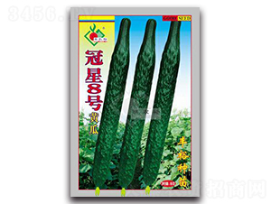 ����8̖-�S�ϷN��-�Sԣ�r(n��ng)�I(y��)