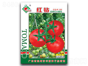 �t�@-���ѷN��-�Sԣ�r(n��ng)�I(y��)