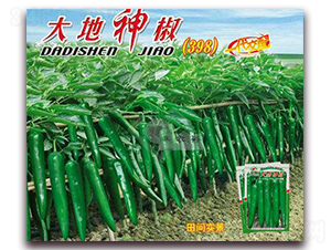 �����-��Ƥ���N��-�Sԣ�r(n��ng)�I(y��)