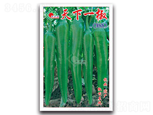 ����һ��-��Ƥ���N��-�Sԣ�r(n��ng)�I(y��)