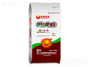 ��ጷ���28-6-8-��ʢ����