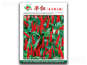 ��t������������-���콷�N��-�Sԣ�r(n��ng)�I(y��)