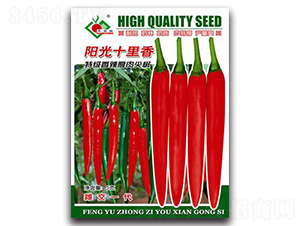 ꖹ�ʮ�����ؼ���������⽷-�t�⽷�N��-�Sԣ�r(n��ng)�I(y��)