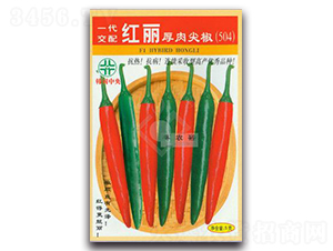 �t������⽷504-�t�⽷�N��-�Sԣ�r(n��ng)�I(y��)