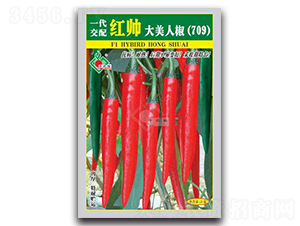 �t�������˽�-�t�⽷�N��-�Sԣ�r(n��ng)�I(y��)