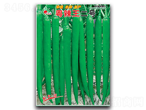 ��������̖-�����N��-�Sԣ�r(n��ng)�I(y��)