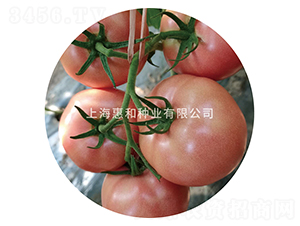 ������-���ѷN��-�ݺͷN�I(y��)