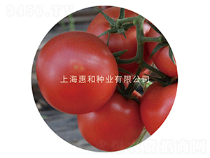 �����ö�̖(h��o)-���ѷN��-�ݺͷN�I(y��)