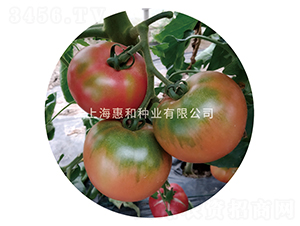 ��̫��-���ѷN��-�ݺͷN�I(y��)