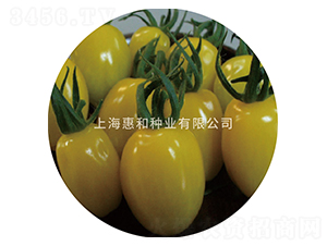 �S����-С���ѷN��-�ݺͷN�I(y��)