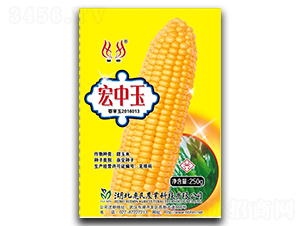 ������-���׷N��-�����r(n��ng)�I(y��)