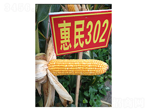 ����302-���׷N��-�����r(n��ng)�I(y��)