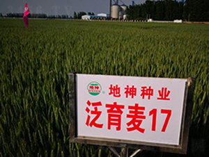 ������17-С���N��-����N�I(y��)