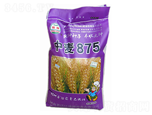 ����875-С���N��-����N�I(y��)