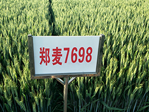 ����7698-С���N��-����N�I(y��)