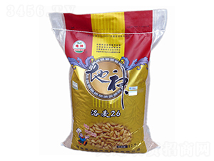 ����26-С���N��-����N�I(y��)