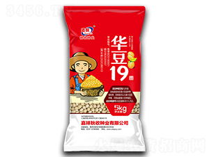 �A��19���t����-�󶹷N��-���շN�I(y��)