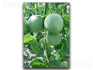 �������-��ϷN��-����N�I(y��)