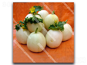 �������-��ϷN��-����N�I(y��)