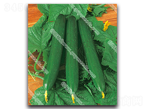 ����08-1�S��-�S�ϷN��-����N�I(y��)