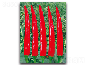 ����1015����-�����N��-����N�I(y��)