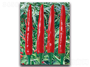 ����1013����-�����N��-����N�I(y��)