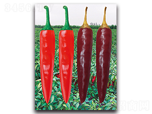 ����2063����-�����N��-����N�I(y��)