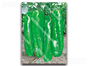 ����5050����-�����N��-����N�I(y��)