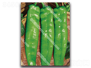 ����7090����-�����N��-����N�I(y��)