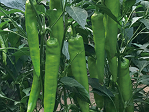 ���N9091����-�����N��-����N�I(y��)