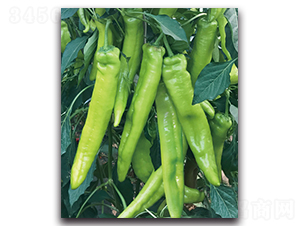 ���N9090����-�����N��-����N�I(y��)