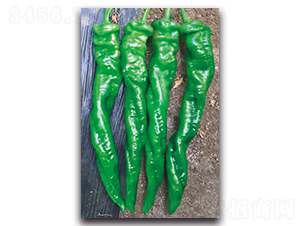 ���D9010����-�����N��-����N�I(y��)