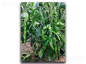 ���D7070����-�����N��-����N�I(y��)