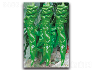 ���D7051����-�����N��-����N�I(y��)