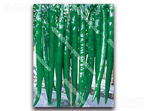 ����3050����-�����N��-����N�I(y��)