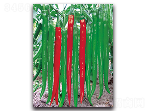 ����3031����-�����N��-����N�I(y��)