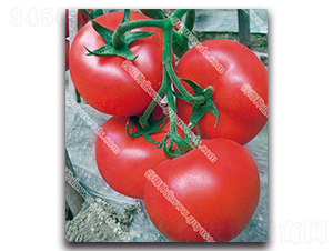 ����׿��һ̖-���ѷN��-����N�I(y��)