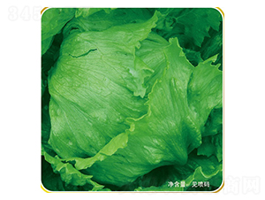 ����-���˷N��-�ݠ���