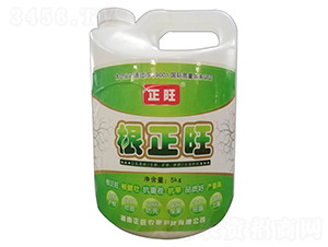 ������-�����r(n��ng)��