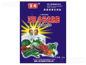 ������Ԫ׷ʩ��-�����r(n��ng)��