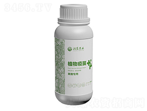 ���ߌ���ֲ������-�h���r(n��ng)�I(y��)