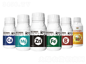 ��һԪ�ط���-�Ԡ��G�� 